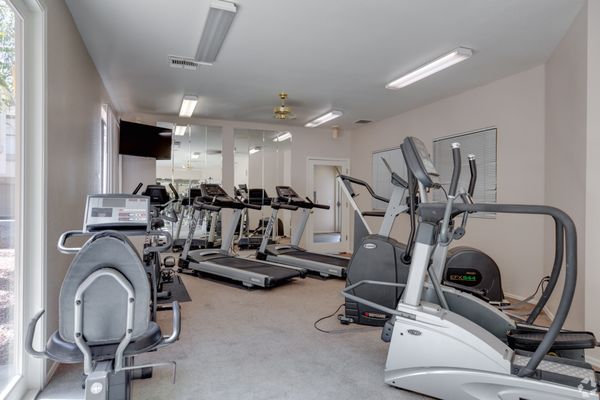 The Polo Club by null