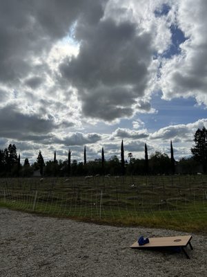 Christopher Cellars by null