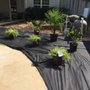 Photo of BuGLe Lawn & Landscape Design