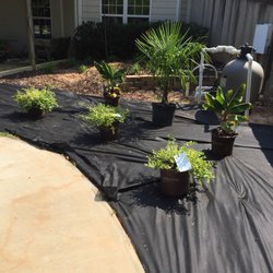 BuGLe Lawn & Landscape Design - Pool side new design installation