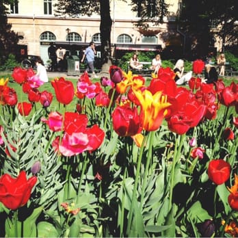 Mariatorget - Public Plazas Near Me - Stockholm, Alberta