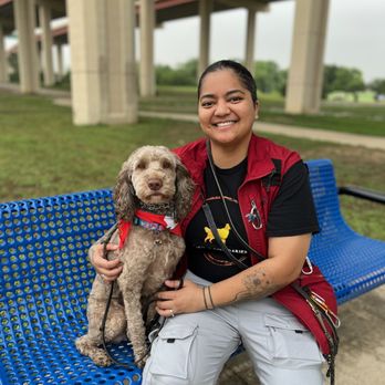 Beyond Boundaries K9 Solutions - Pet Training Near Me