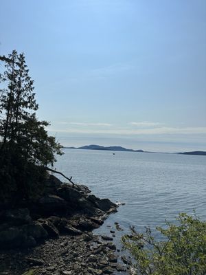 Larrabee State Park by null