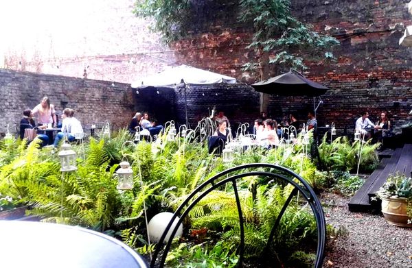 Dynia Resto Bar by null