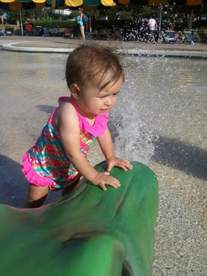 NRH2O Family Water Park by null