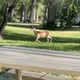 Photo of Foothills Campground