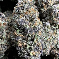 Cannabis Hunter - Forbidden Fruit