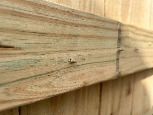 Slide of Baldur Construction TX