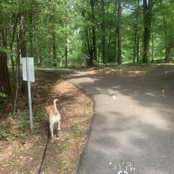 Buhlow Lake Recreation Area - Jac loves a good trail