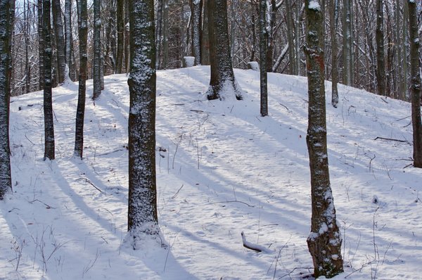 Riveredge Nature Center 4458 W Hawthorne Dr Saukville Wi Miscellaneous Retail Stores Nec Mapquest