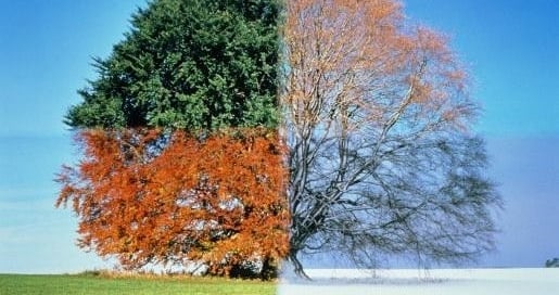 Slide of JBK Plumbers