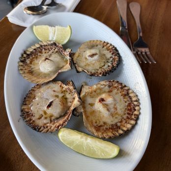 Rocoto Pesca Bar - Scallops - Seafood Near Me - Huntington Beach, California Rocoto Pesca Bar - Scallops - Seafood Near Me - Huntington Beach, California