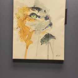 Cat photo in examination room