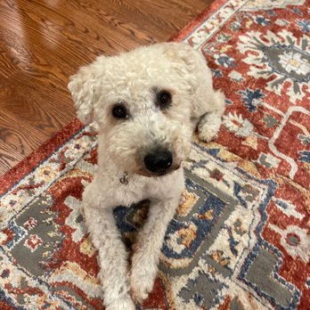Bark N Purr - Pet Groomers Near Me - Teaneck, New Jersey