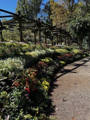 Gibbs Gardens by null