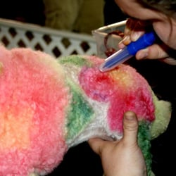 Paws and Relax Pet Spa