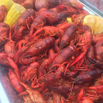 Funkys Pizza and Daiquiri Bar - Mudbugs Madness - Pizza Near Me - Oxford, Mississippi Funkys Pizza and Daiquiri Bar - Mudbugs Madness - Pizza Near Me - Oxford, Mississippi