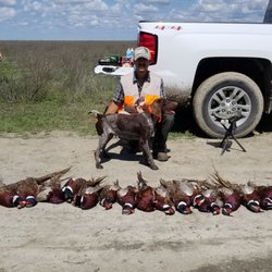 Ellis Hunt Club - Lots of fun hunting here..