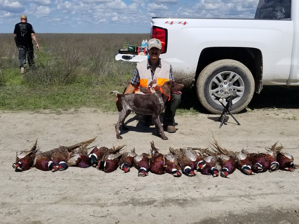 Ellis Hunt Club Logo