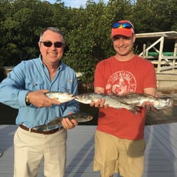 Fish Southwest Fl