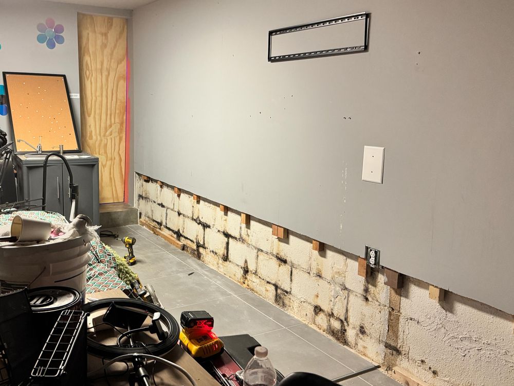 Ace Mold Detection - mold inspector in Nashville, TN