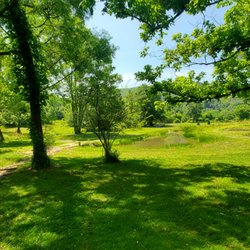 Valley River Vineyards - Tent Camping areas