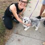 Photo of Rocky Dog Walking