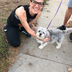 Rocky Dog Walking