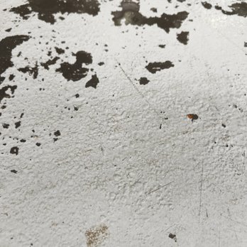Perfected Painting and Home Services - Painters Near Me Perfected Painting and Home Services - Painters Near Me