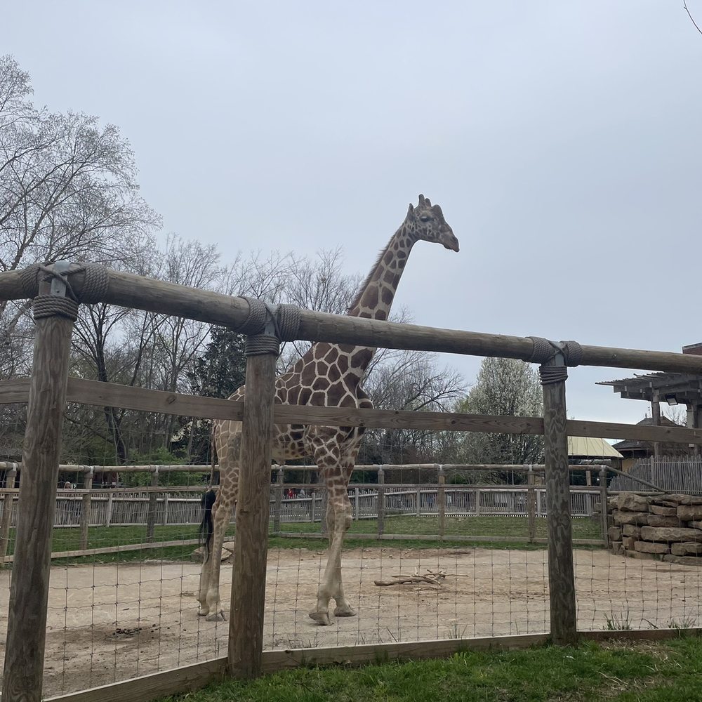 Chattanooga Zoo At Warner Park - Amusement Parks Near Me - Chattanooga, Tennessee