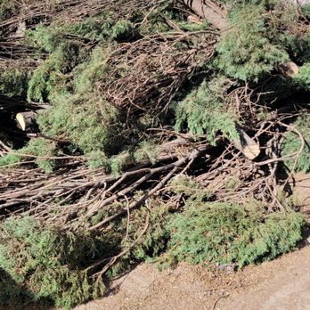 Dr Rogers Tree Service - Tree Services Near Me