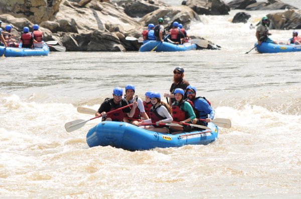 French Broad Adventures by null