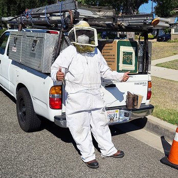 Professional Bee - Manuel is getting ready to battle the bees. - Pest Control Near Me Professional Bee - Manuel is getting ready to battle the bees. - Pest Control Near Me