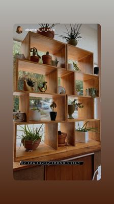 lark & sparrow by null