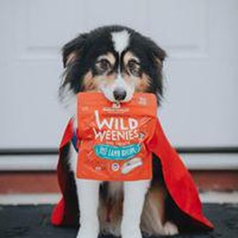 Tailwaggers - Pet Stores Near Me - Whitefish, Montana