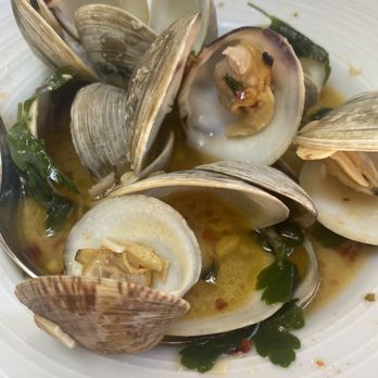 Bravas Bar de Tapas - Steamed Clams in Cava with Garlic , Parsley , Chili Flakes - Spanish Near Me - Healdsburg, California