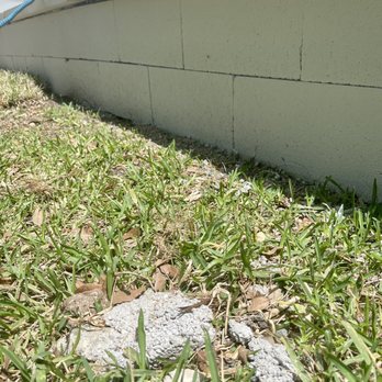 Transformed Landscaping - Landscape Architects or Designers Near Me - Austin, Texas