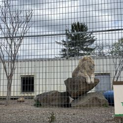 Plumpton Park Zoo