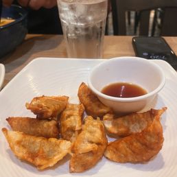 Deep Fried Dumplings (Pork) New