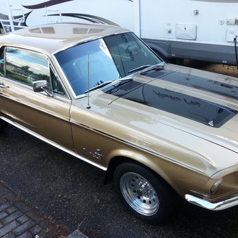 Top Secret Customs and Restorations - Sassy after her bath. - Body Shops Near Me - Arlington, Washington Top Secret Customs and Restorations - Sassy after her bath. - Body Shops Near Me - Arlington, Washington