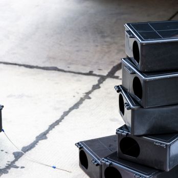 AmTex Rodent Solutions - Precision Pest Trapping Services - Pest Control Near Me - Irvine, California AmTex Rodent Solutions - Precision Pest Trapping Services - Pest Control Near Me - Irvine, California