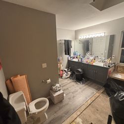 MBR Collective - Same bathroom, may have to tear all lvp out as well