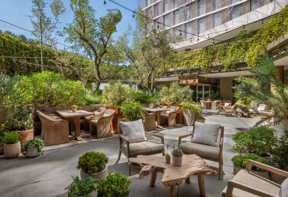 Juniper Lounge and Garden by null