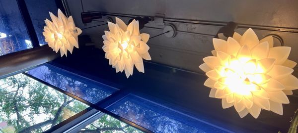 Snail Thai Cuisine by null