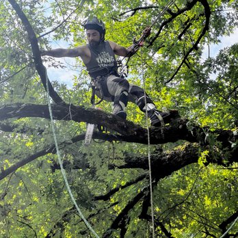 Cherokee Tree Cuttz - Tree Services Near Me - Virginia Beach, Virginia Cherokee Tree Cuttz - Tree Services Near Me - Virginia Beach, Virginia