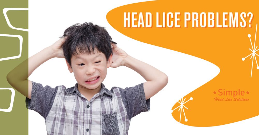 SIMPLE HEAD LICE SOLUTION 24 Photos 66172 Haleiwa Rd, Haleiwa