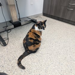 Summit Bridge Veterinary Hospital