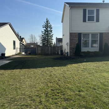 5 Star Tree Services - Tree Services Near Me