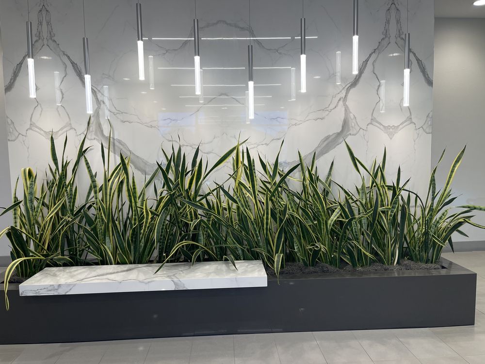 Mindmatters - grief counselor in Las Vegas, NV