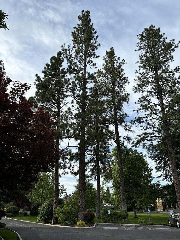 Sunshine Health & Rehab - home care agency in Spokane Valley, WA